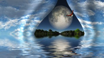 Klinik Psikolog Tugce Turanlar Rüyaların Yorumu Freud freud rüya analizi freud rüyaların yorumu freud manifest latent içerik freud rüya sembolleri rüya analizi bilinçdışı freud rüyaların anlamı rüyalarda semboller freud psikanaliz rüya rüya yorumlama freud